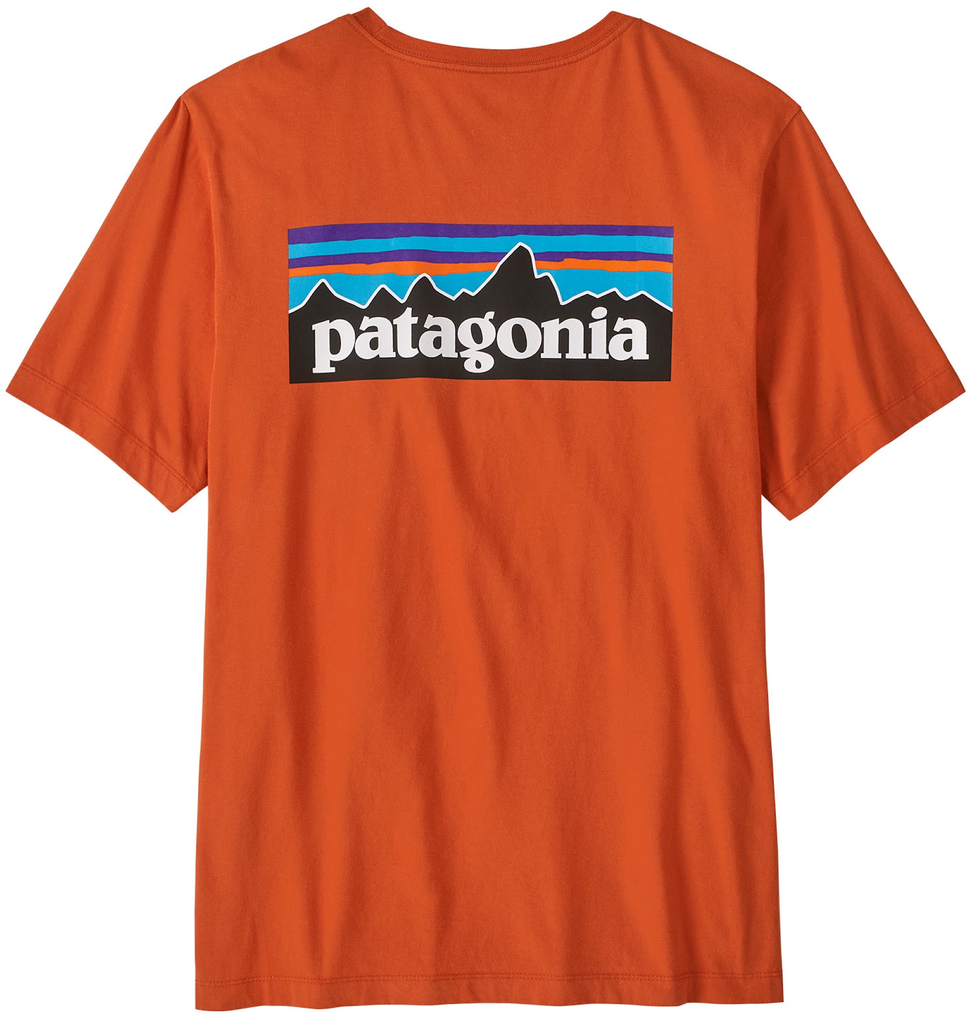 Patagonia P-6 Logo T-Shirt CLOR