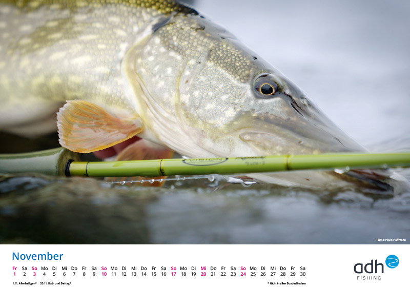 kalender-adh-fishing-2024_blog-vorschau11 - Gratis Fliegenfischer-Kalender für 2024