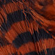 burnt orange/barred black