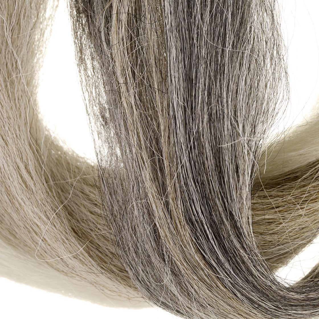 Dutch Pike Hair