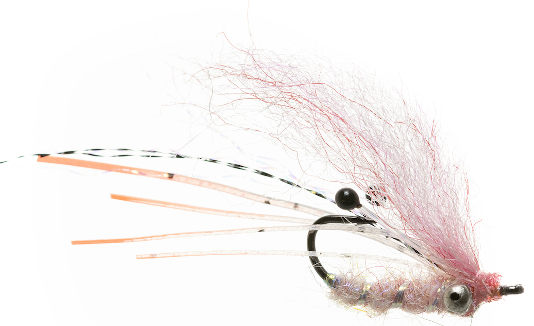 Enrico Puglisi GHOST SHRIMP - PINK - #6