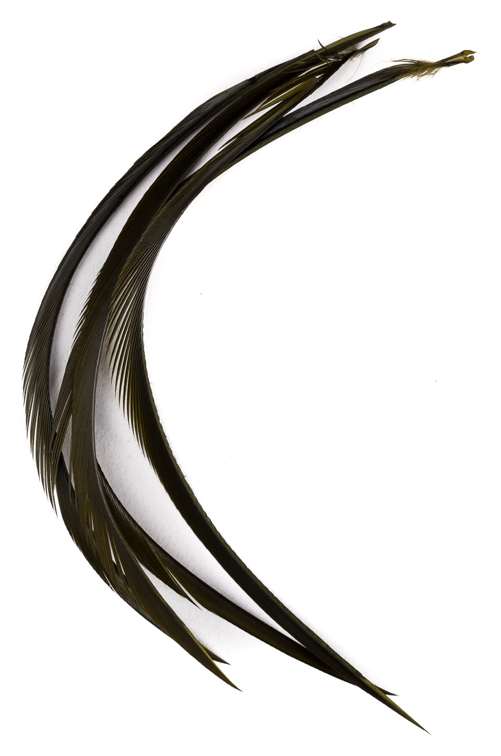 blue wing olive