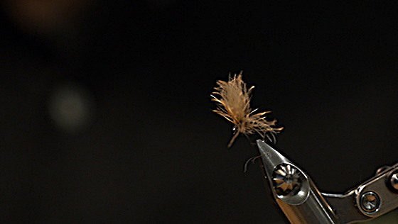 Bindevideo: CDC Puffs Eintagsfliege Bindevideo: CDC Puffs Eintagsfliege