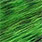 baitfish green