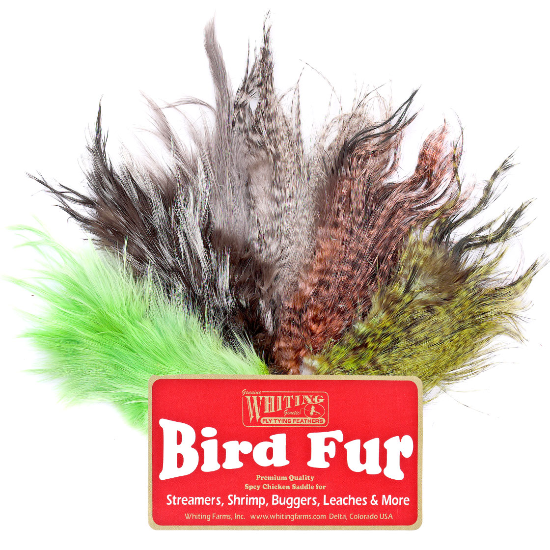 P-25383_Whiting-Bird-Fur Whiting Bird Fur
