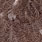 mottled grey dyed tan