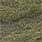 blue wing olive