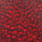 grizzly dyed red