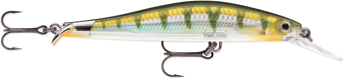 Yellow Perch