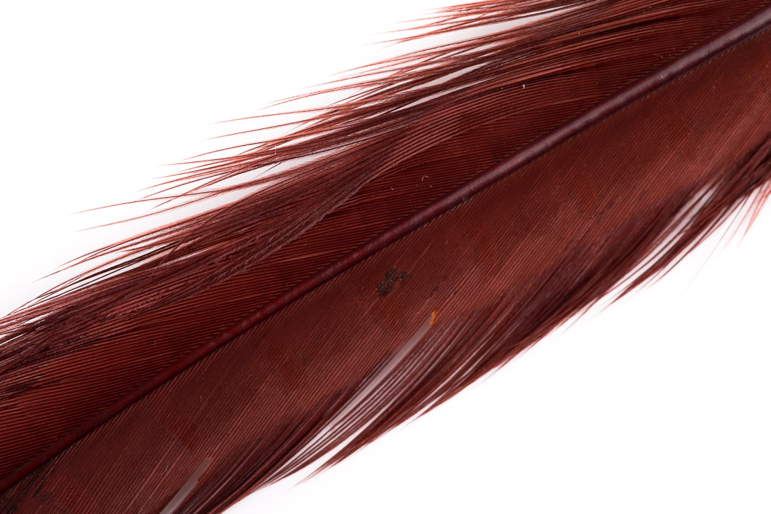 fiery brown extracted