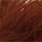 27 brown