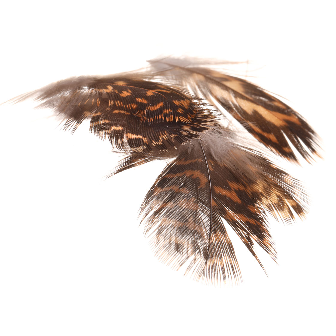 Soldarini Grouse Federn