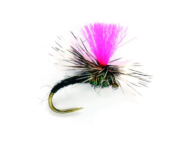 Fulling Mill Trockenfliege - Black Magic Klinkhammer Barbless