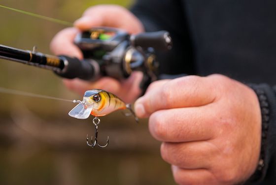 Hardbaits - Eine Einführung für Spinnfischer