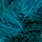 fl. blue