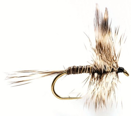 Fulling Mill Trockenfliege - Mosquito