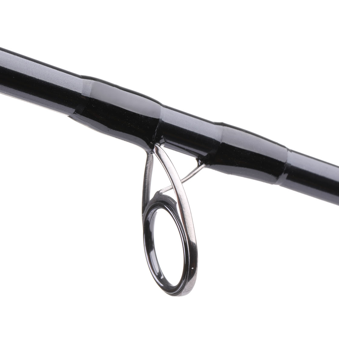 P-19196_soldarini_hydropsyche_detail_3