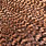 grizzly salmon pink
