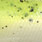 chartreuse pearl