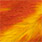 hot yellow/hot orange