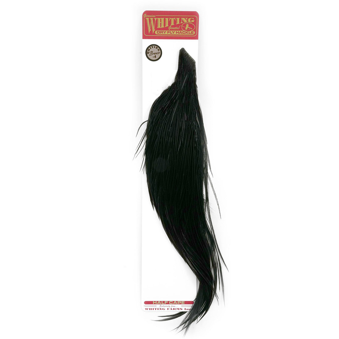 Whiting-Bronze-1-2-Cape-Black Black