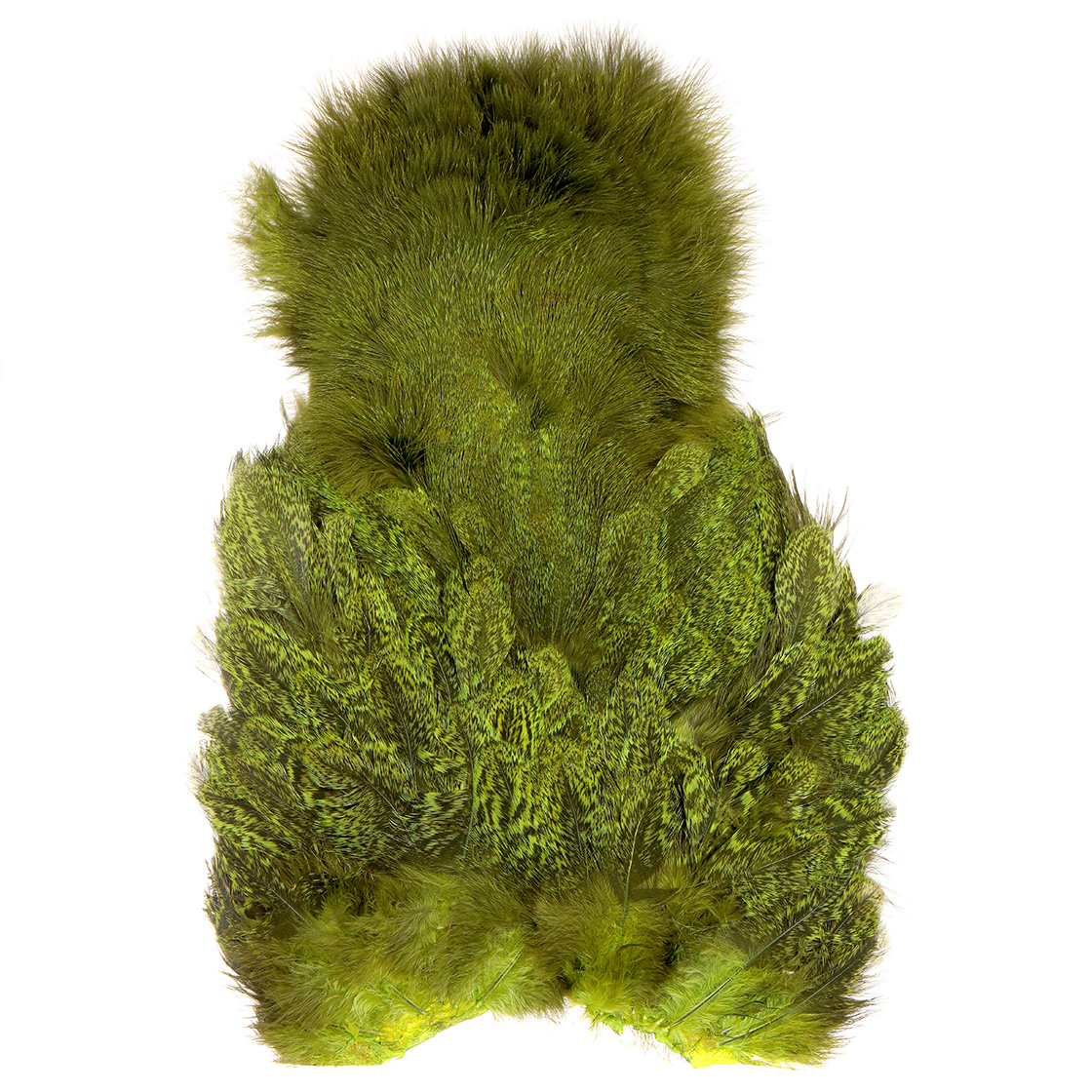 P-28068-6_Whiting-Coq-De-Leon-Hen-SH_C-Softhackle-with-Chickabou-Bronze-Grade_fluo-green-chartreuse speckled dyed fluo green chartreuse