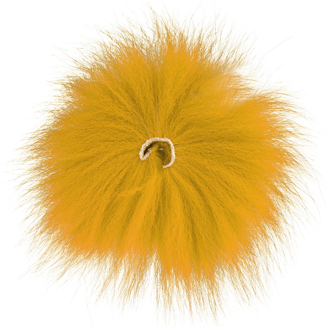 lion yellow