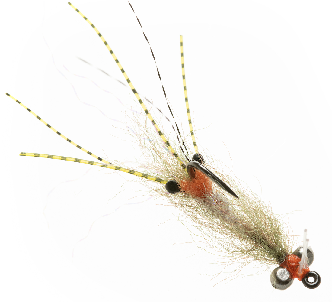 Enrico Puglisi SPAWNING SHRIMP - OLIVE