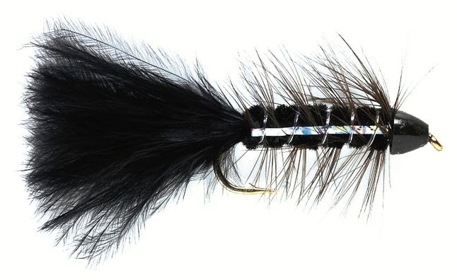 fulling_mill_golden_bullet_all_black Bindebeispiel