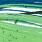 blue back chartreuse