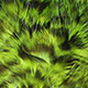 grizzly fluo green chartreuse