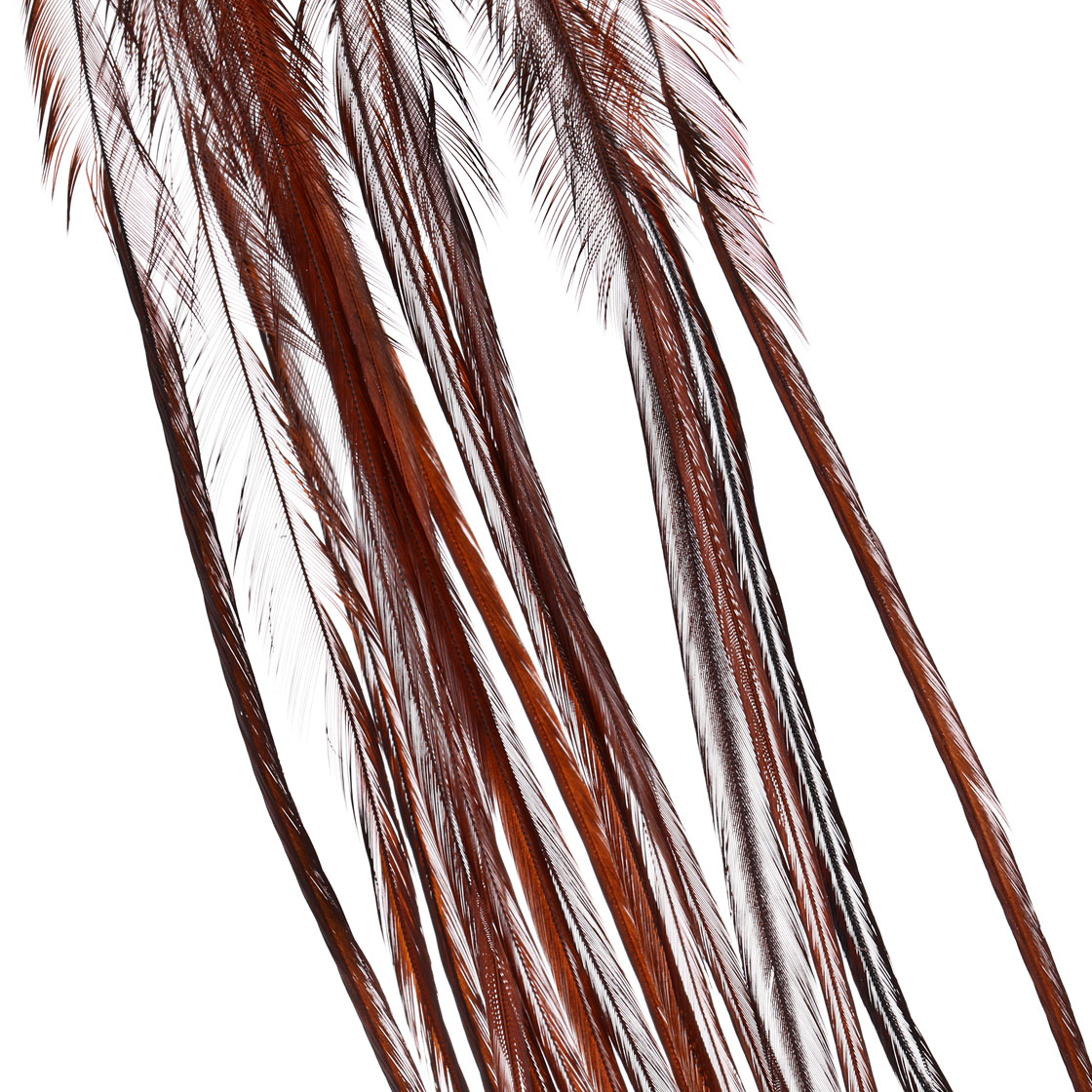 white dyed coachman brown