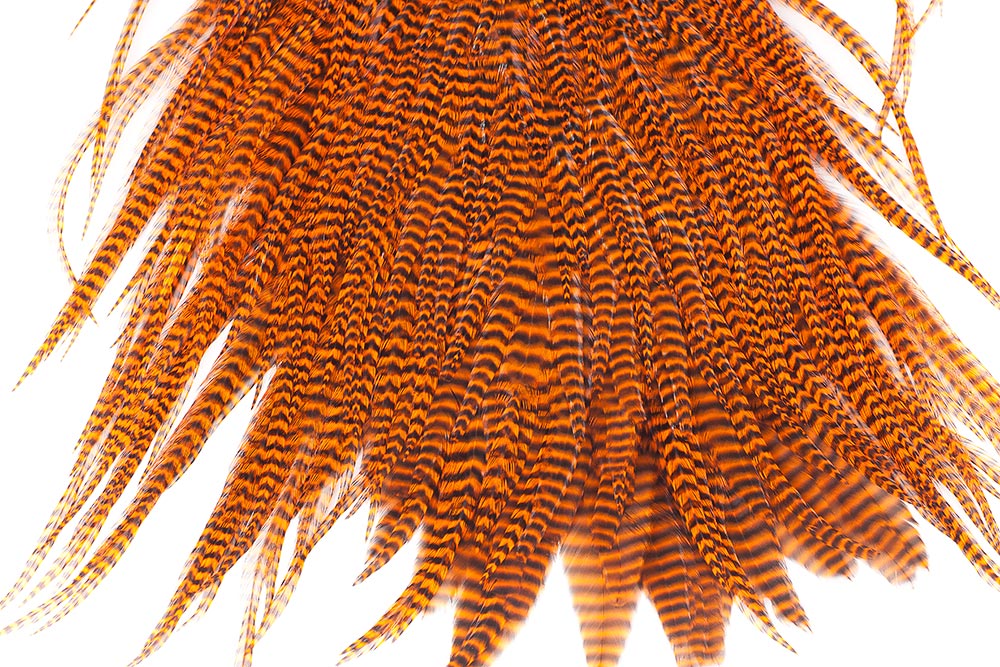 grizzly orange