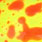 pingo/yellow