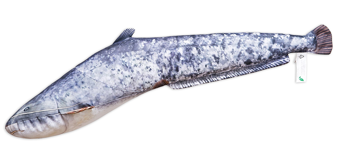 P-29172_Fischkissen_Kuscheltier_Wels_62cm_2gKanzga4LkzFz Fischkissen Kuscheltier Wels 62cm