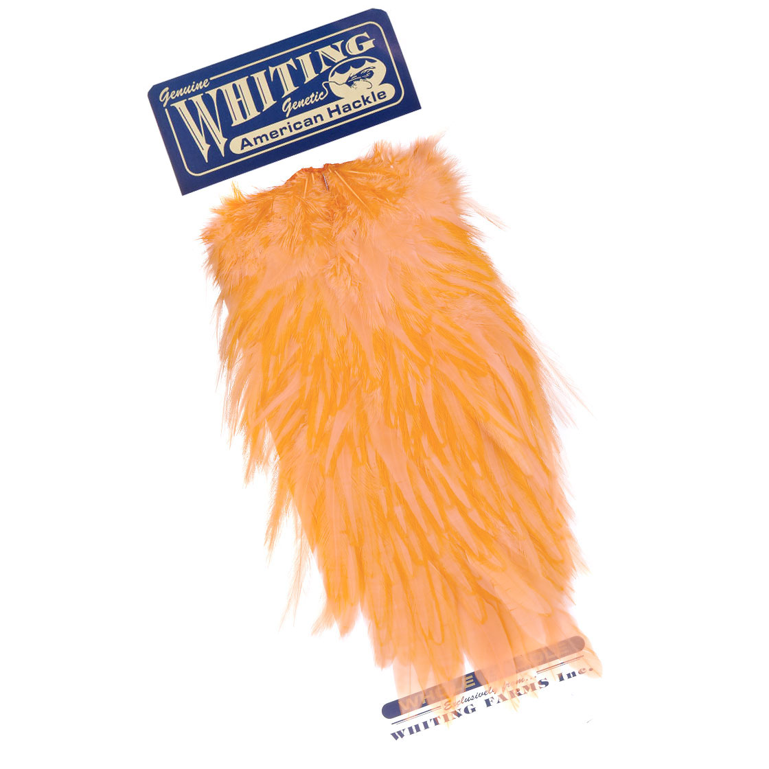 white dyed shrimp orange