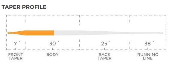 OmniVerse Taper