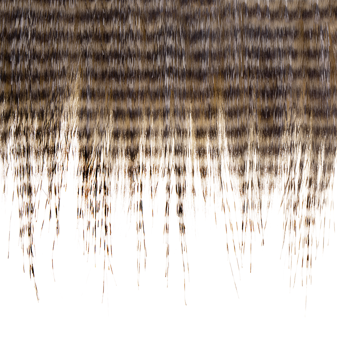 Elberse-craft-fur-extra-long-detail barred sandy tan