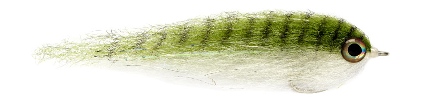 fulling_mill_salty_baitfish_anchovy Bindebeispiel