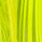 chartreuse
