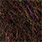 chocolate brown