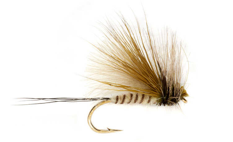 Fulling Mill Trockenfliege - Procter's Active Mayfly Dun Maifliege