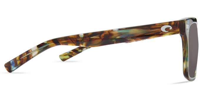 costa_aransas_shiny_ocean_tortoise_gray1