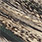 barred speckled (aconchado)