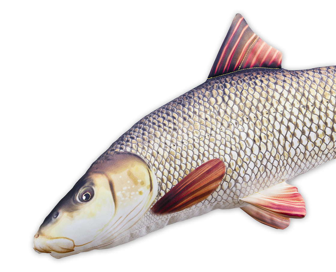 P-29178_Fischkissen_Kuscheltier_Barbe_80cm_4