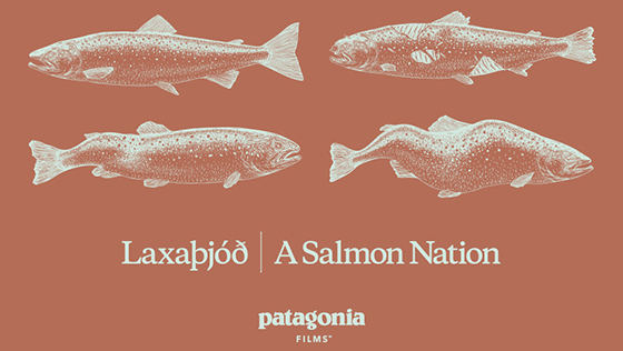 Patagonia-Film-Laxathjod-A-Salmon-Nation-Blog-Vorschau.jpg