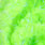 fluo chartreuse
