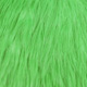 white dyed insect green