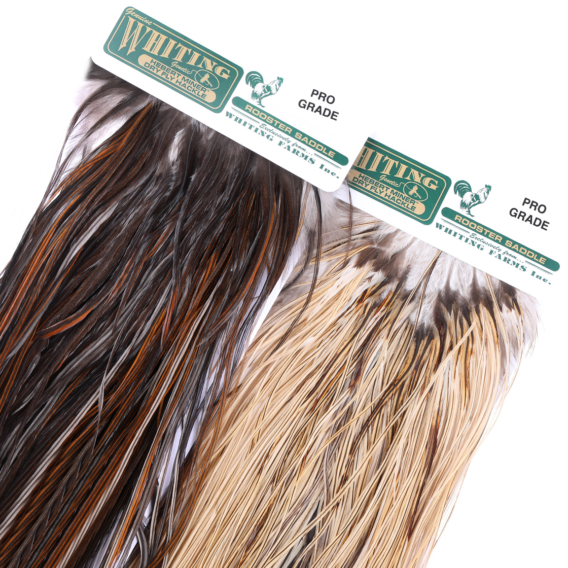 Whiting Hebert Pro Grade Saddle