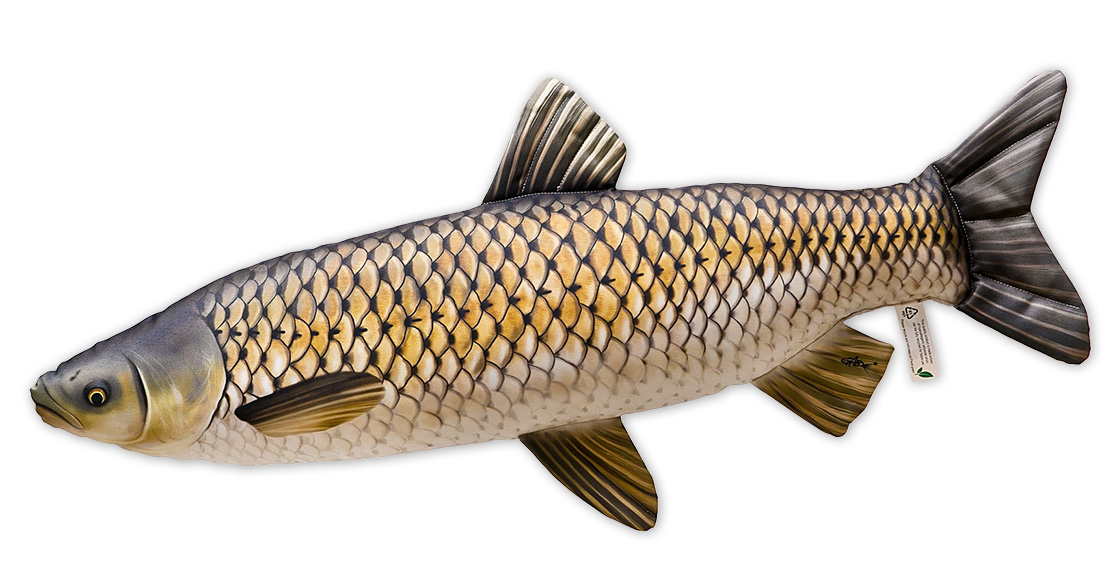 Fischkissen Kuscheltier Graskarpfen 105cm